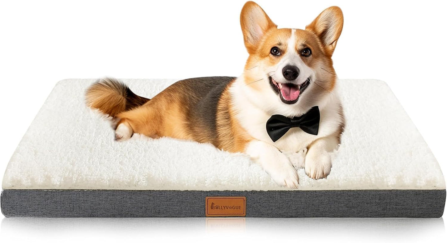 Dog Bed Large, Orthopedic Dog Bed Support Egg Crate Foam Dog Beds, Soft & Cozy Pet Bed Mat with Removable Washable Cover (Large, Dark Grey, up to 75 Lbs)